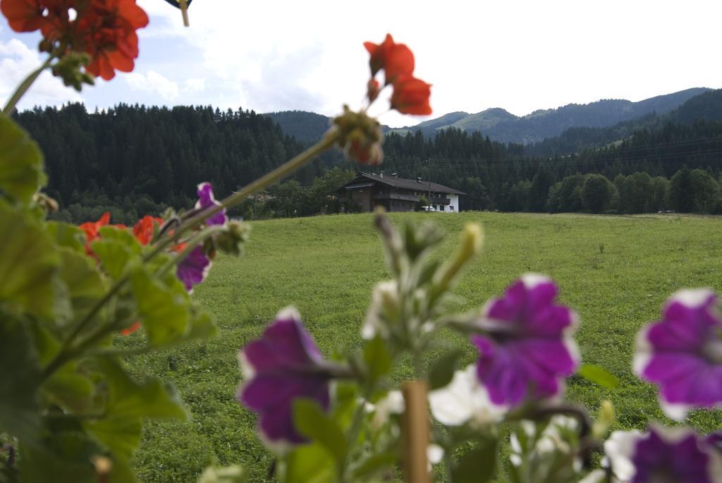Haus Schatzbergblick Oberau Esterno foto